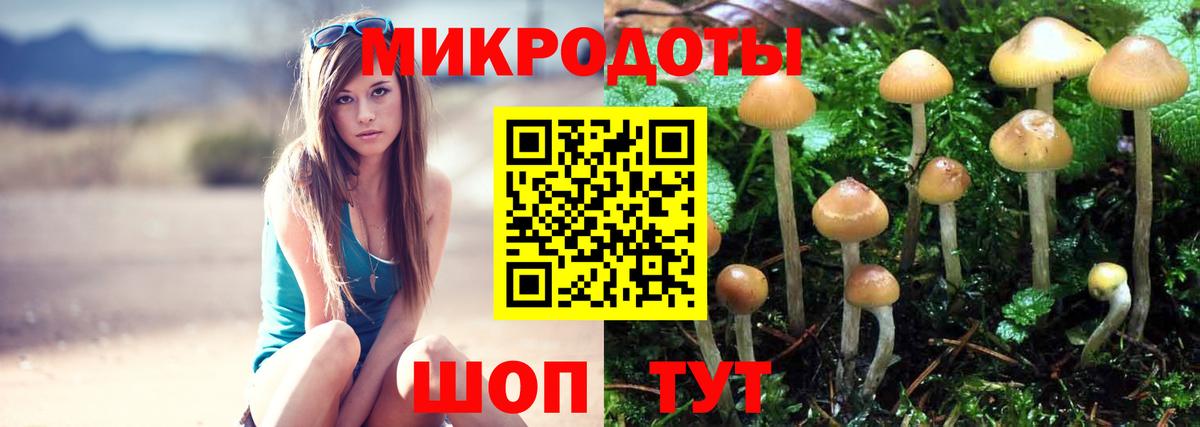 Псилоцибиновые грибы GOLDEN TEACHER  Вход с VPN  сколько стоит  Ревда 